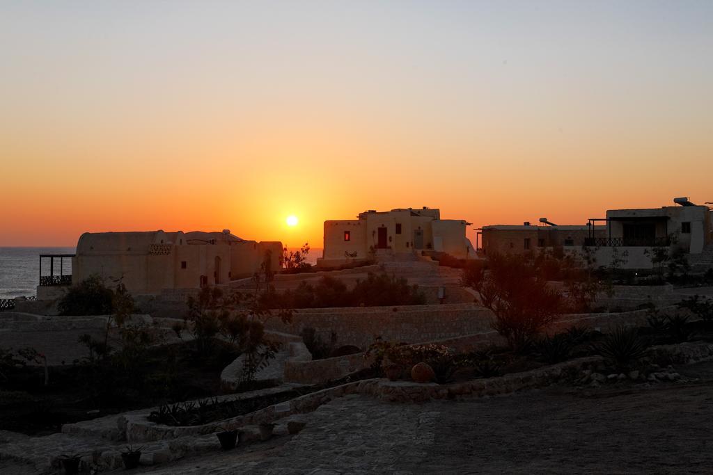 The Oasis Ξενοδοχείο Abu Dabab Εξωτερικό φωτογραφία